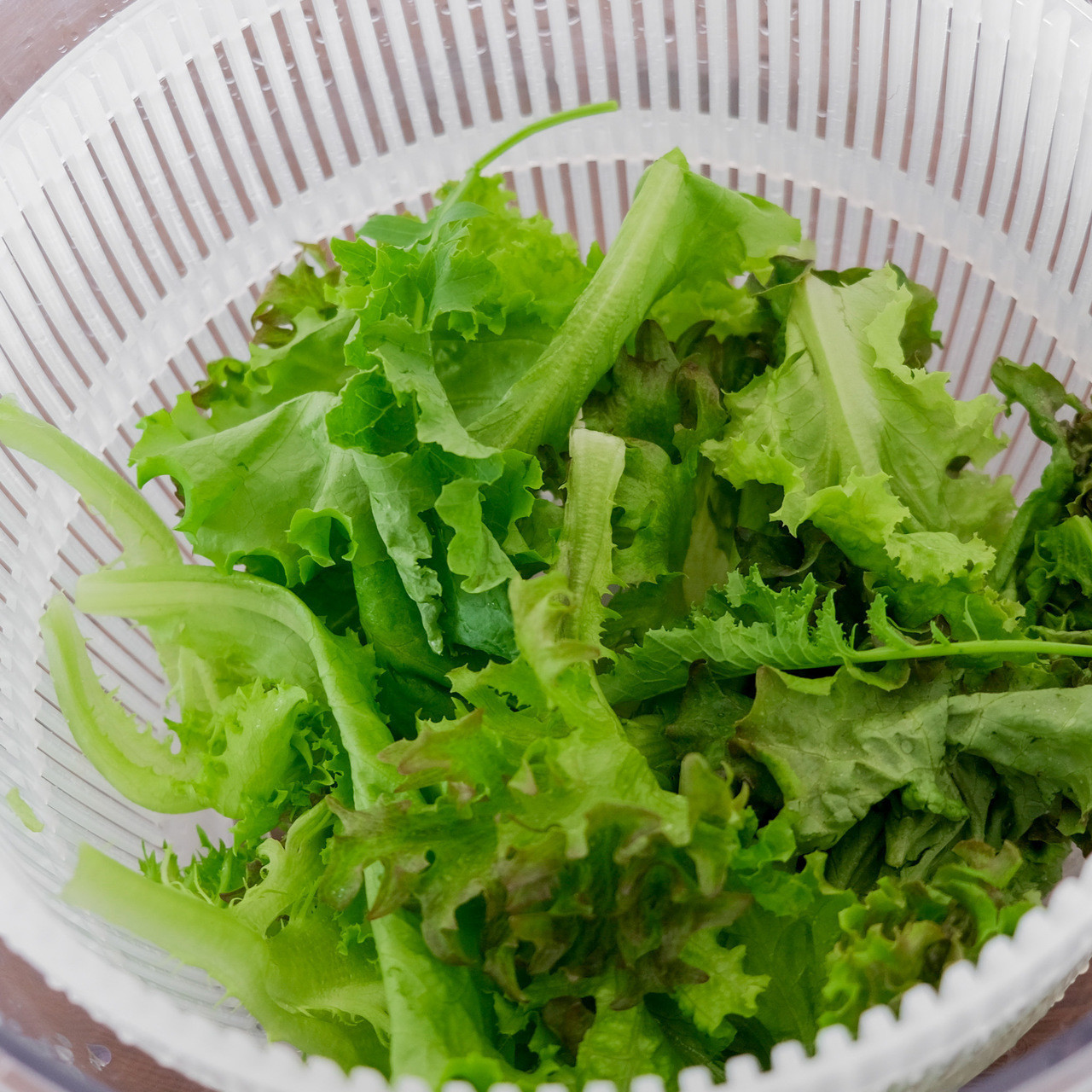 預先處理生菜，建議搭配蔬菜脫水器去除多餘水分，保存更加 !