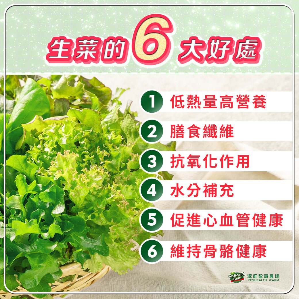 六大吃生菜的好處